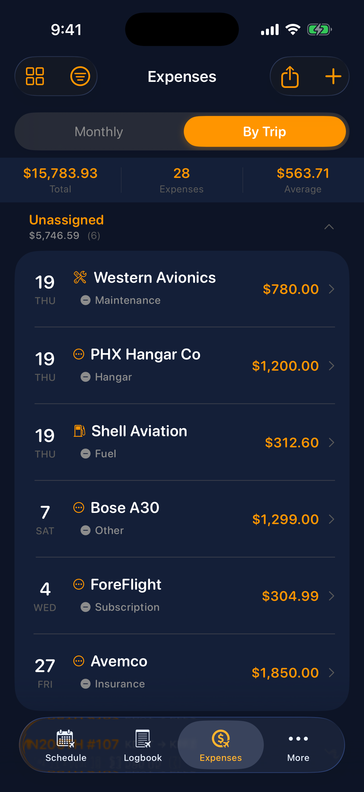 Sky Duty expenses grouped by trip on iPhone